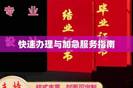 神农架快速办理与加急服务指南
